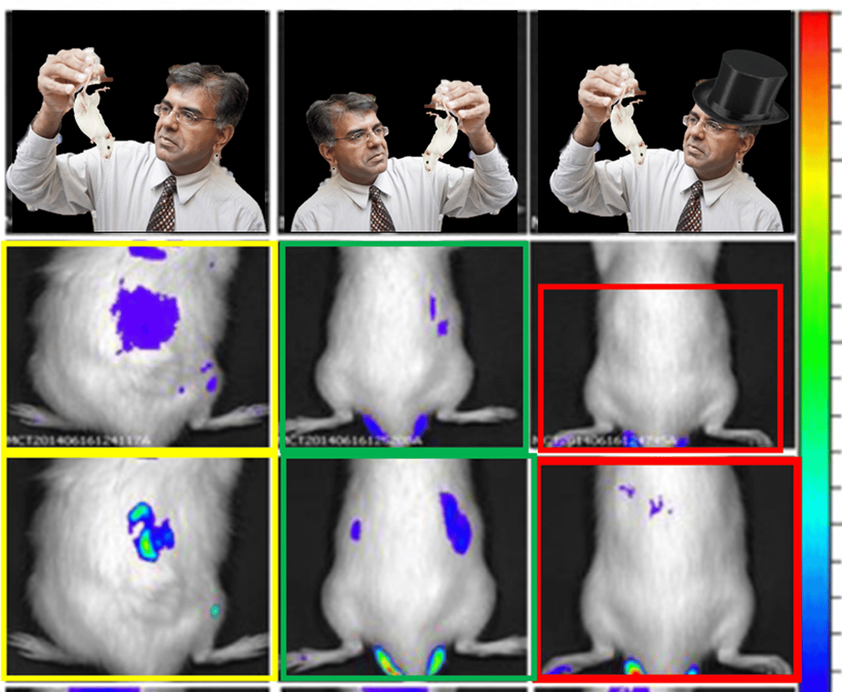 Mansoor Amiji: Rare Gem and Modern-Day Polymath