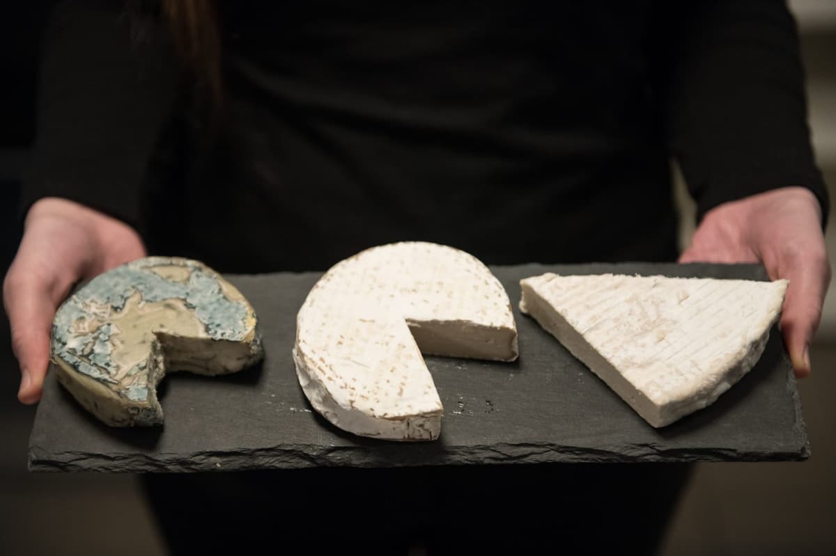 A Mark Cuban–Backed Vegan Cheese Company Trained AI to Scrutinize Cardboard Boxes. It’s Saved $400,000
