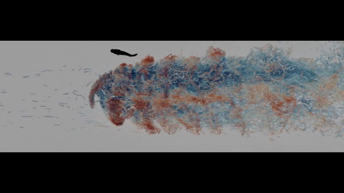 Understanding Fish and Turbines