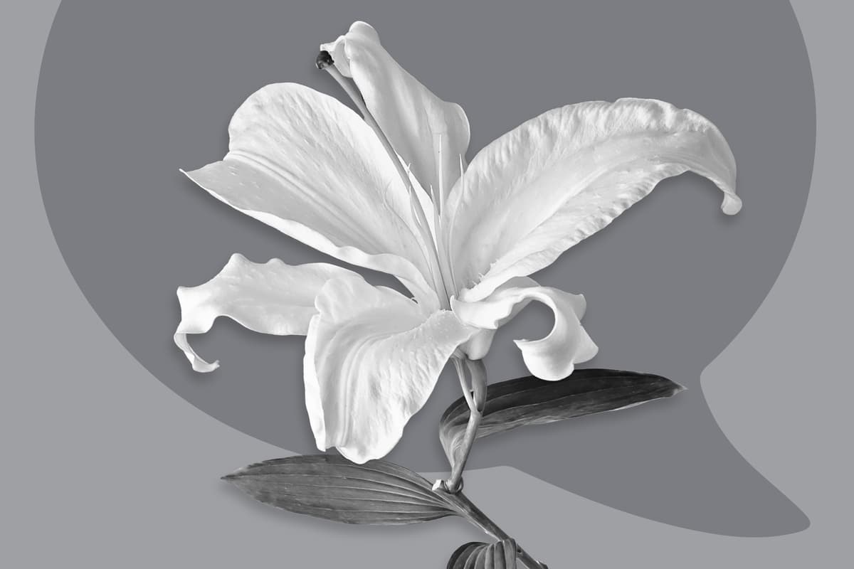 What to Say When Someone Has a Miscarriage—And What to Avoid