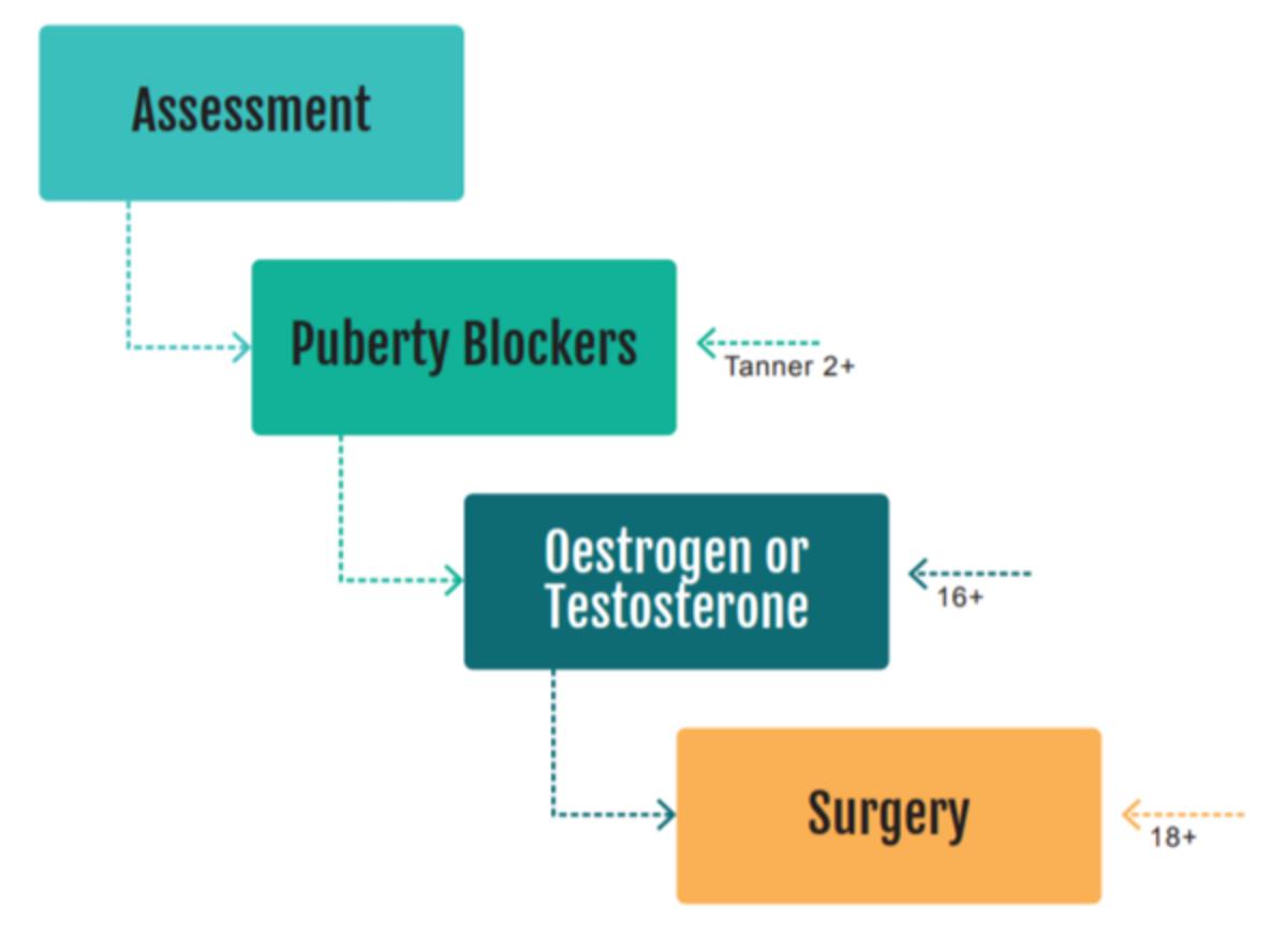 “Evidence for Puberty Suppression and Gender Affirming Hormones Limited’: British Doctors Group Questions Early Transitions but Also Opposes Blocker Ban
