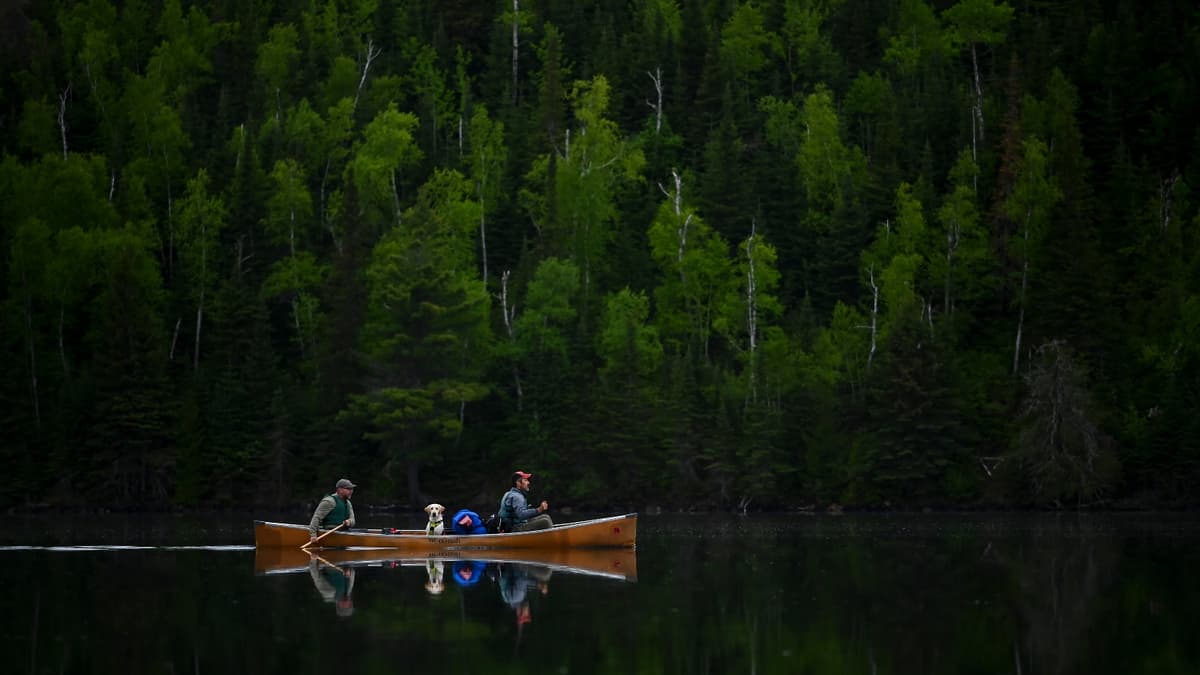 Republicans Deployed a Little-Known Law to Open Minnesota Wilderness to Mining