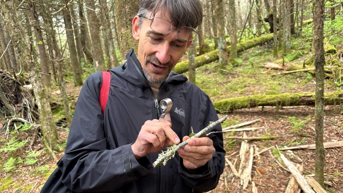 In the Smoky Mountains, a Volunteer Effort Aims to Document Every Species — Before It’s Too Late