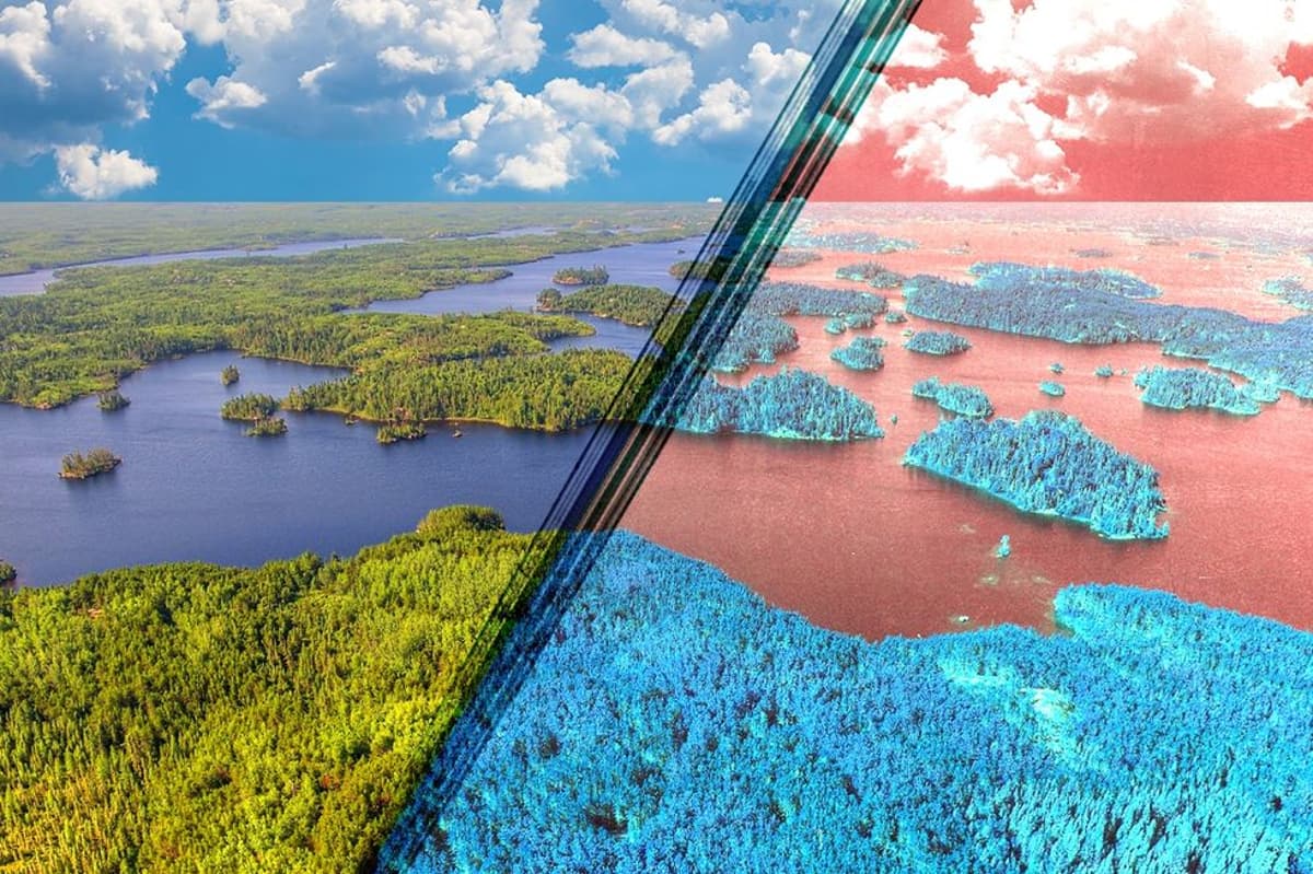 Congress Declares Open Season on Public Lands