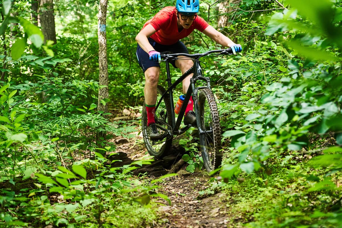 Want an Affordable, Trail-Ready MTB? 9 Hardtail Mountain Bikes for Every Budget