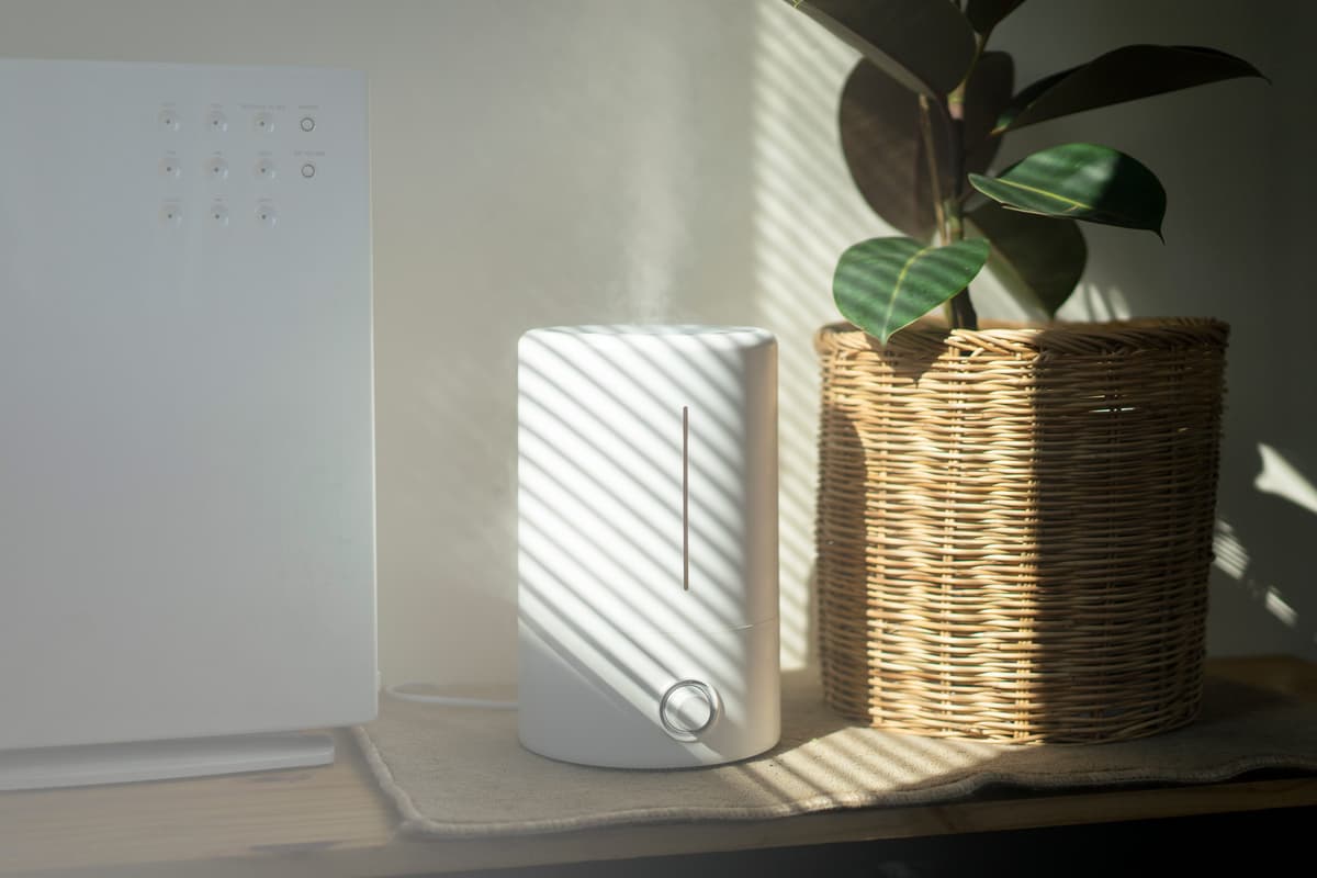 The 8 Best Humidifiers Can Help You Breathe Easier