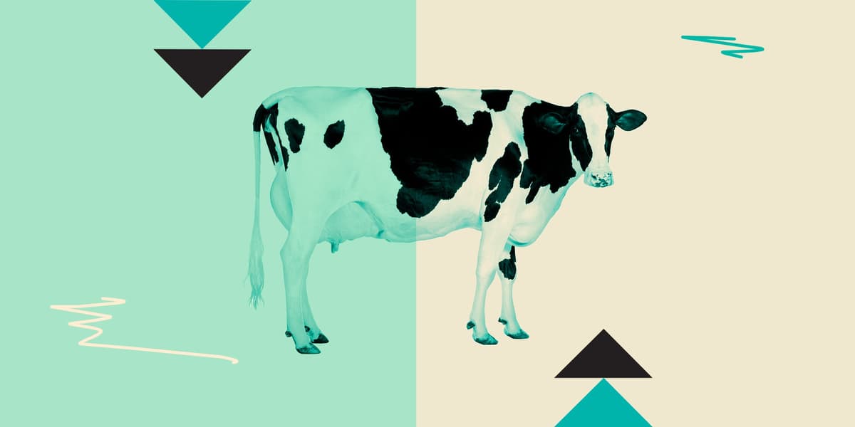 Raw Milk Is In the News Again—Here’s What You Need to Know