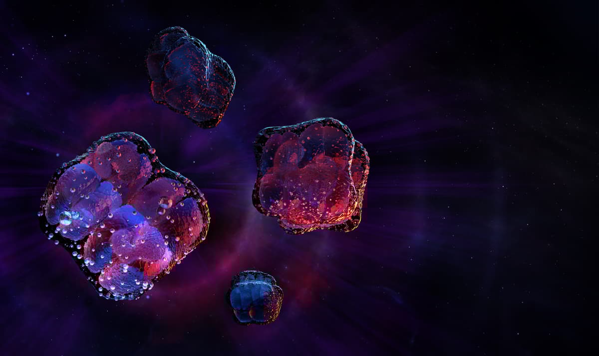 Scientists Found This Organism Can Survive Some of the Harshest Conditions in the Universe