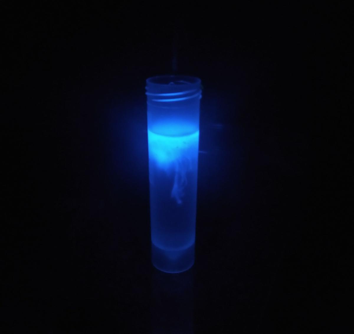 Two Men Stole a Glowing Blue Cylinder in an Abandoned Hospital—And Unleashed a Nuclear Nightmare