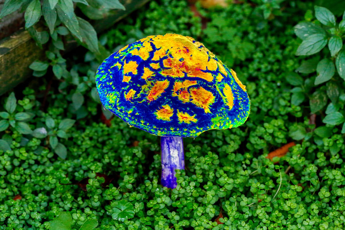 Scientists Hunted Down the Psychedelic Key to Slow Aging—And It’s Inside This Magic Mushroom