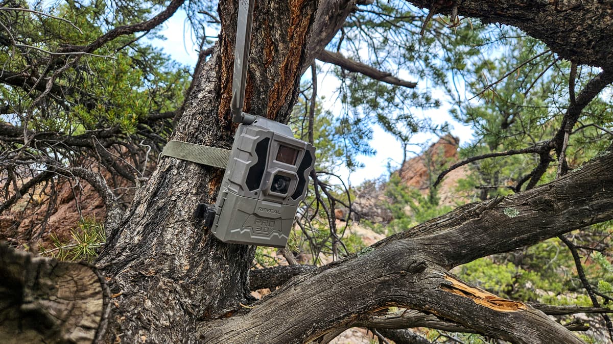 Tactacam Reveal Pro 3.0 Trail Camera Review: A Do-It-All Trail Cam for Reliable Remote Scouting