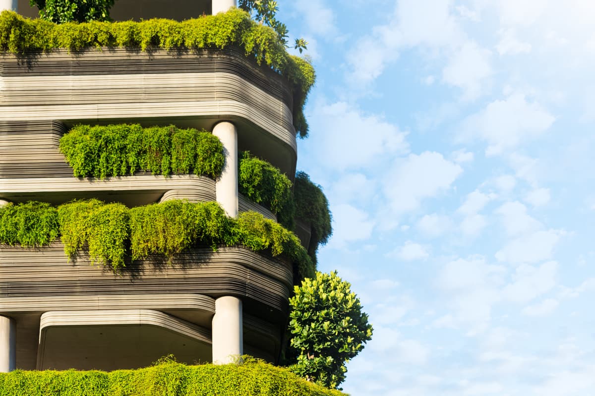 Scientists Think They Could Design Entire Cities That Heal Your Brain