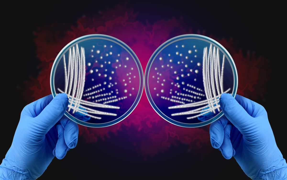 Scientists Solved the 150 Year-Old Mystery of Why Most of Your Molecules Are Right-Handed