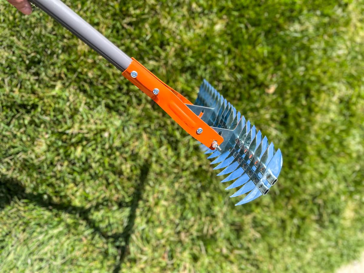 The Walensee Dethatching Rake Helped Me Fix My Lawn This Spring