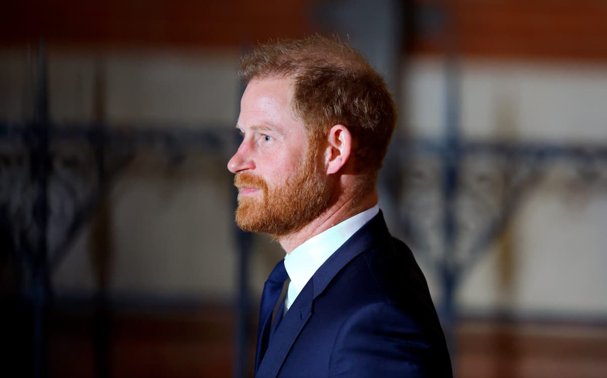 Prince Harry Is Being Sued by the Charity He Co-Founded in Memory of Princess Diana