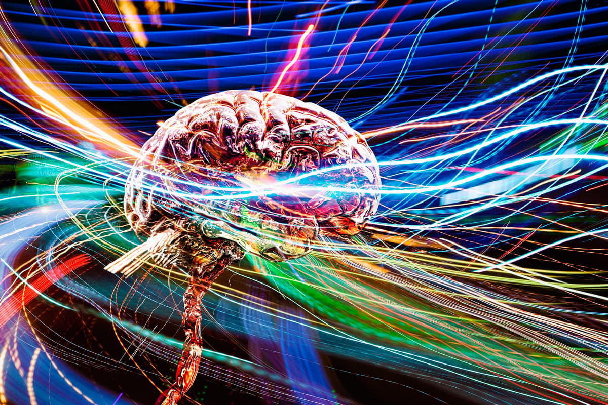 You Can Transcend Your Everyday Programming to Reach These Altered States of Consciousness. Here’s How.