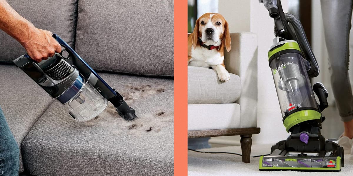 The 8 Best Pet Hair Vacuums for a Fur-Free Home