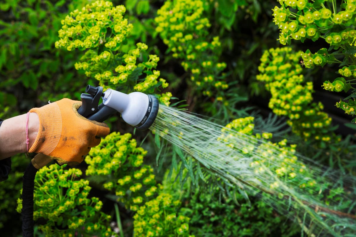The 7 Best Garden Hose Nozzles for Easy Watering