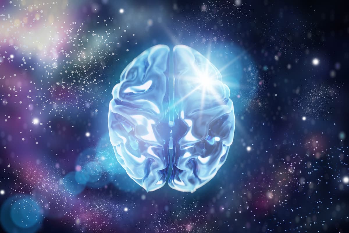 They Froze a Brain to −196°C. Then Brought It ‘Back to Life’ in a Groundbreaking New Study.