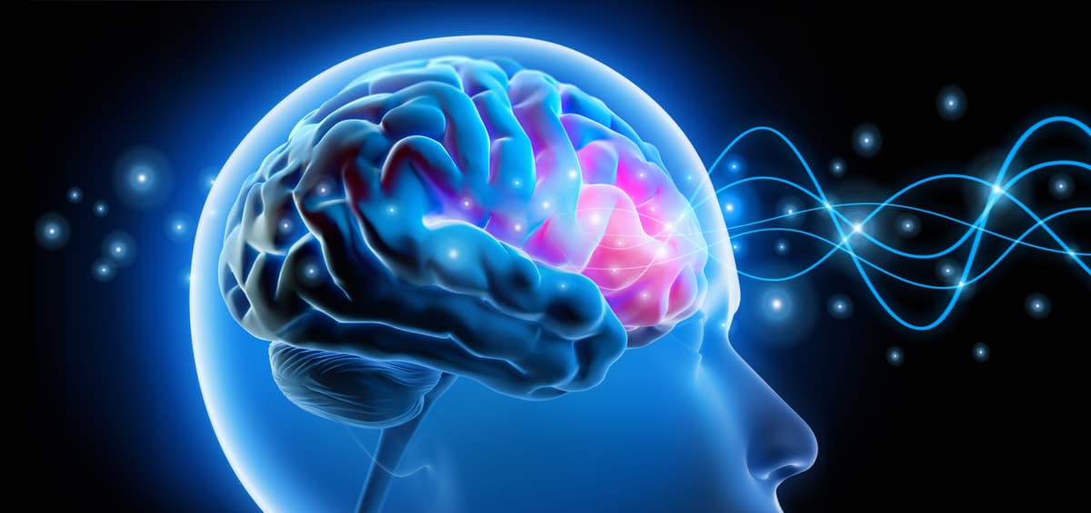 This Neurosurgeon Studies the Brain Close to Death. He Believes the Soul Transcends the Body.
