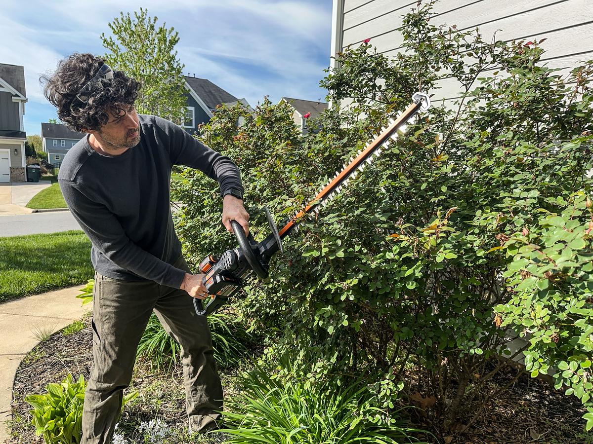 The Worx Hedge Trimmer—Tester Approved for Its Affordability, Ergonomic Design, and Cutting Power