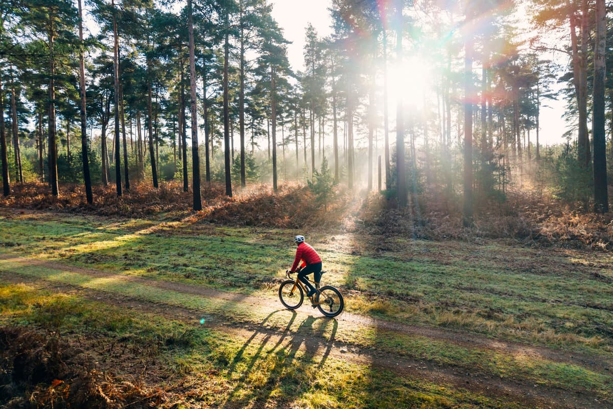 A Short, Daily Bike Ride Is Good for Your Health and Your Weight