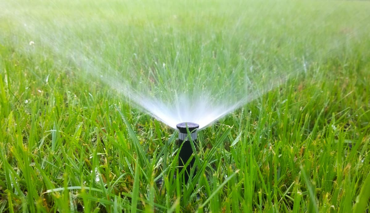 Experts Agree: This Is the BEST Time to Water Your Lawn