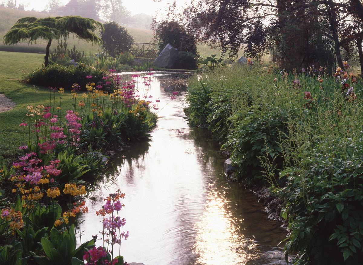 The Most Common Gardening Mistakes, and How to Fix Them