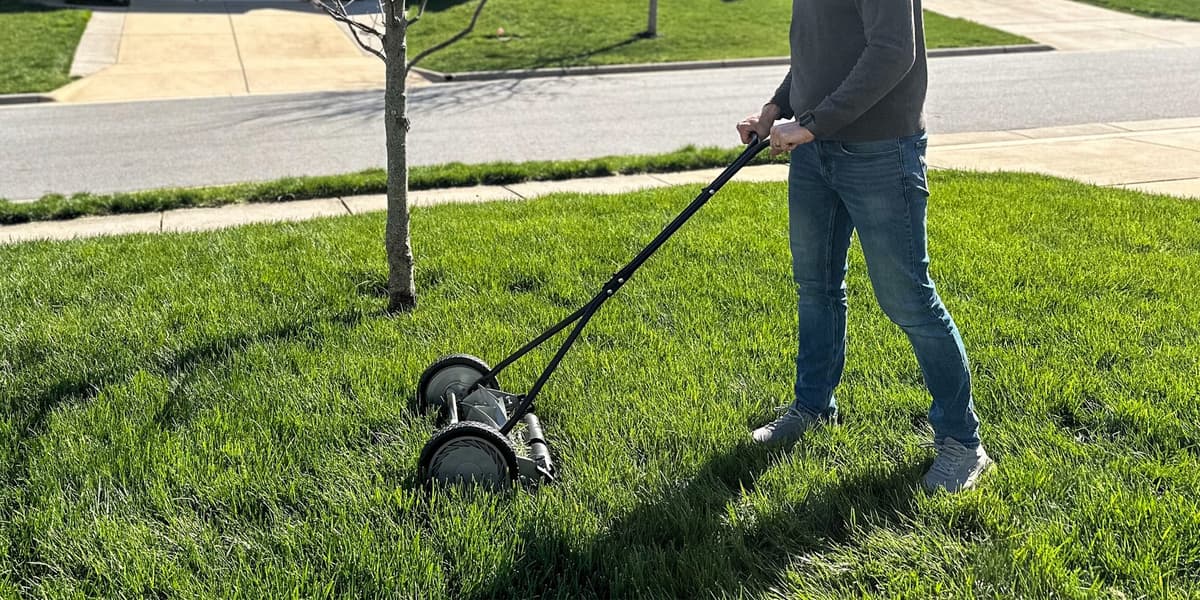 6 Best Reel Mowers That Cut Grass the Old Fashioned Way