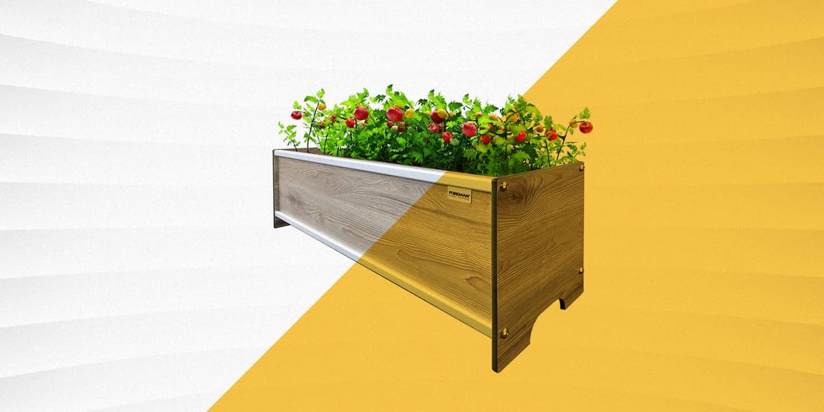 The 8 Best Raised Garden Beds for Easy Planting
