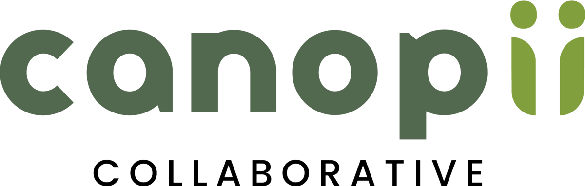 Impact Advisors Acquires Canopii Collaborative to Expand Epic Payer and Tapestry Expertise