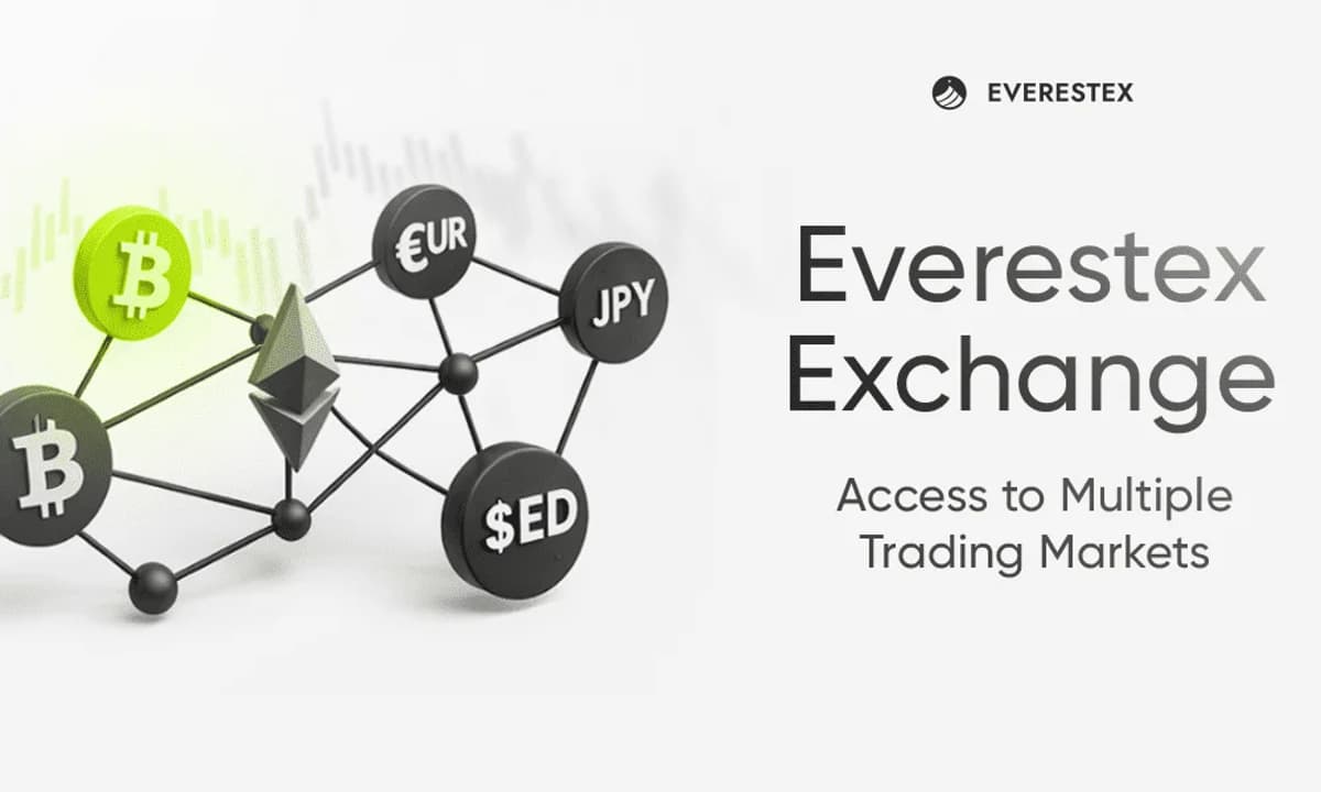 Everestex Review: Platform Features for Digital Asset Traders
