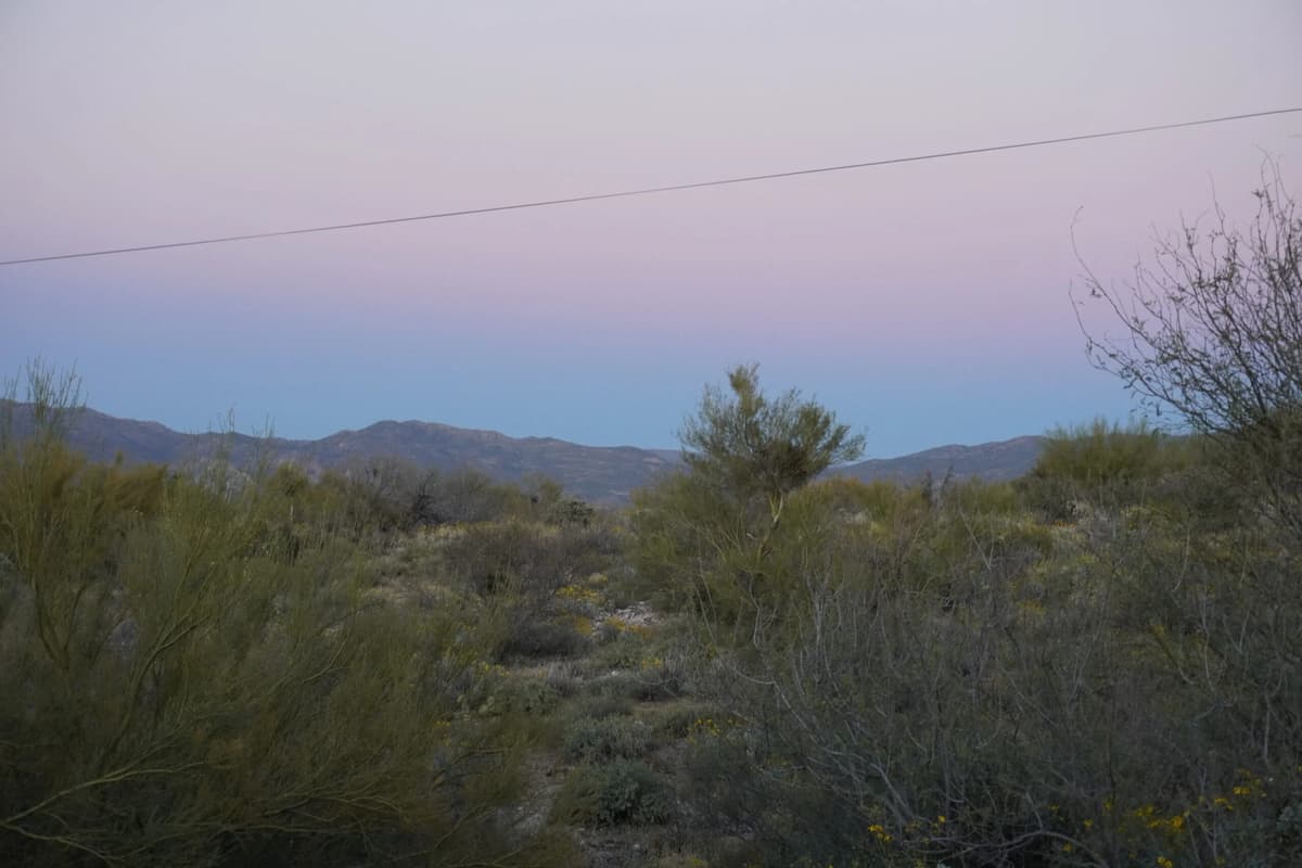 Michael’s Miscellany: The Eclipsed Sky