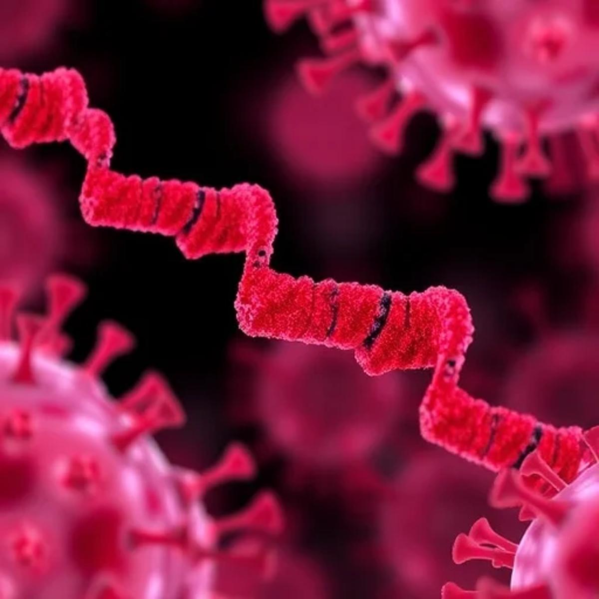 MRNA Vaccines Beat Haemozoin Block in Malaria