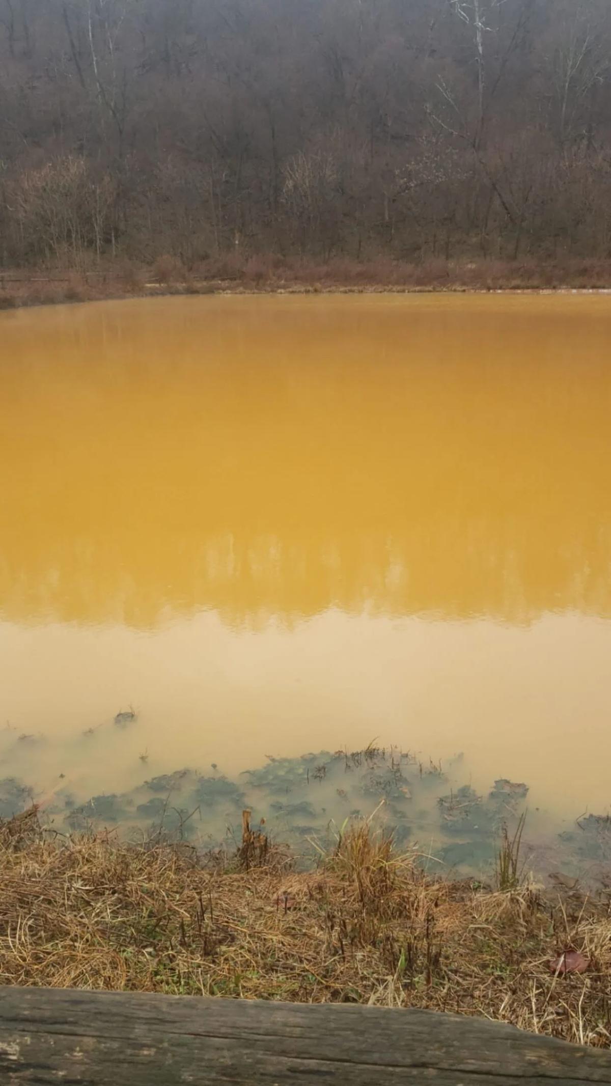 Passive Systems Tackle Appalachia’s Legacy Mine Pollution