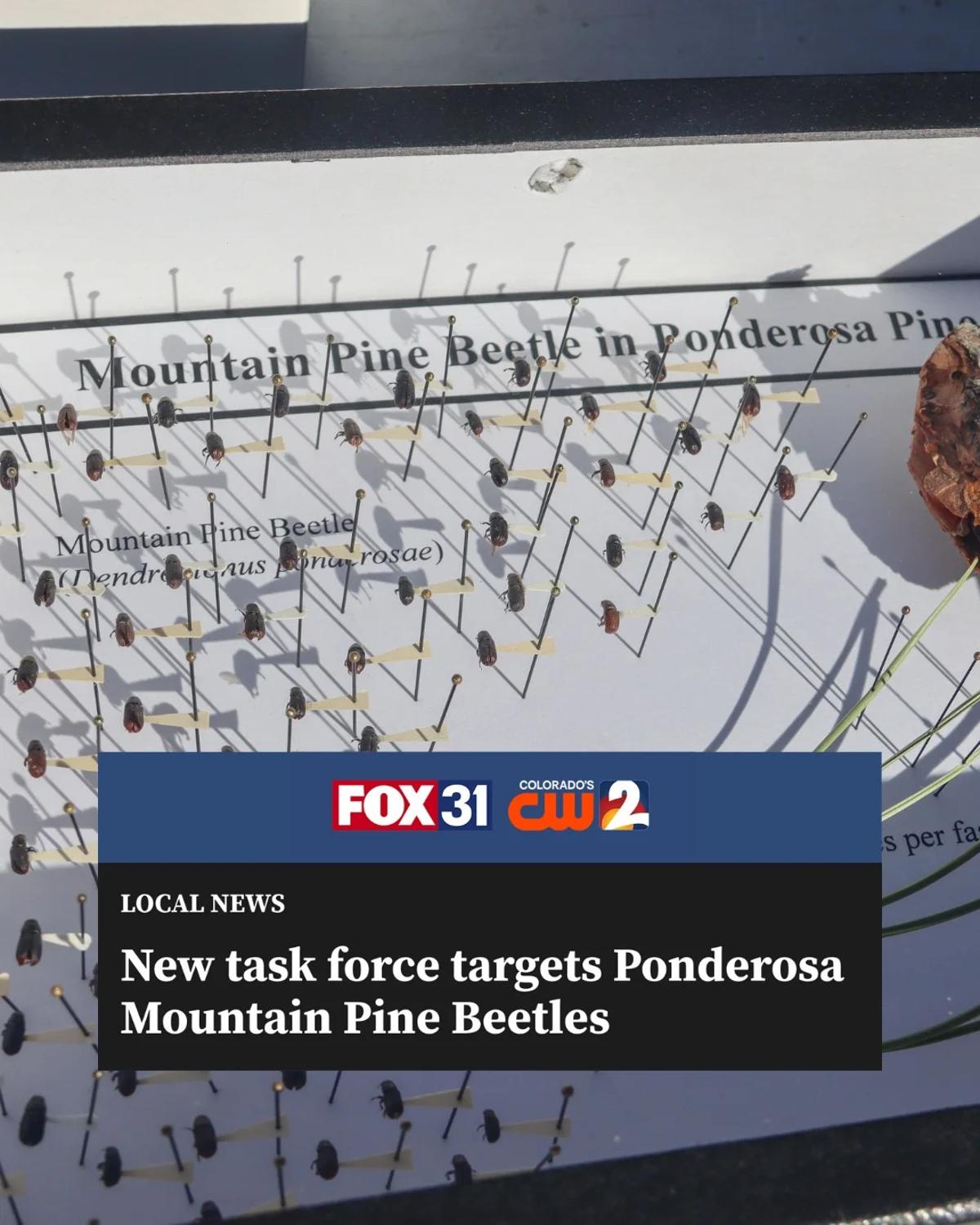 Colorado Leads Fight Against Wildfires, Floods, Beetles