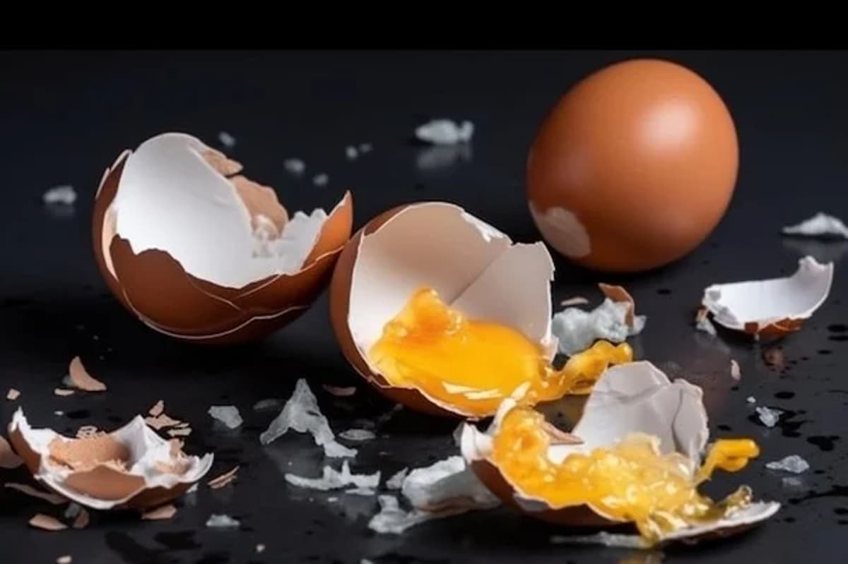 Winning Founders Treat Failure as Research, Solve Problems