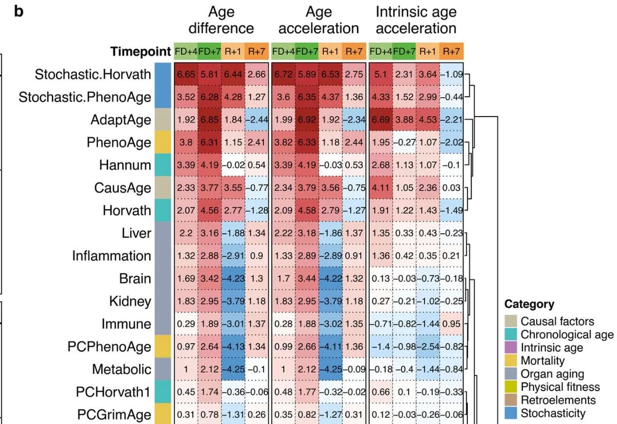 Spaceflight Triggers Temporary Epigenetic Aging, Then Reversal