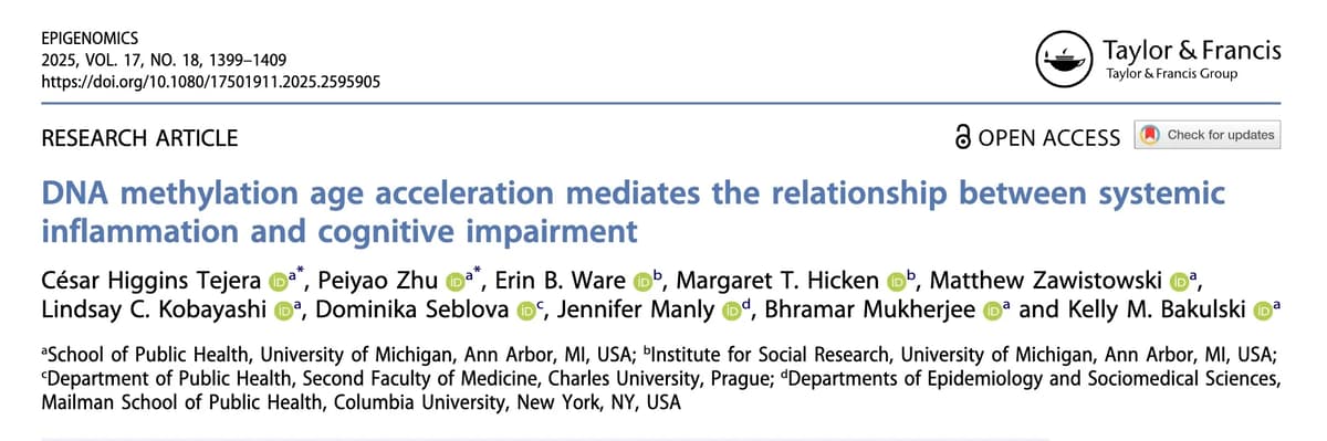 Inflammation Speeds DNA Methylation Aging, Impairing Cognition