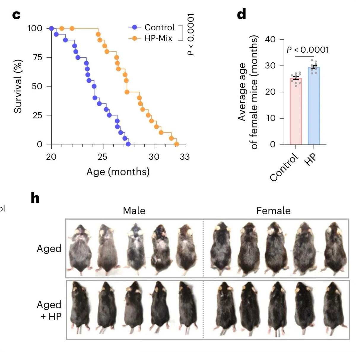 Low Air Pressure Clears Senescent Cells, Extends Mouse Lifespan