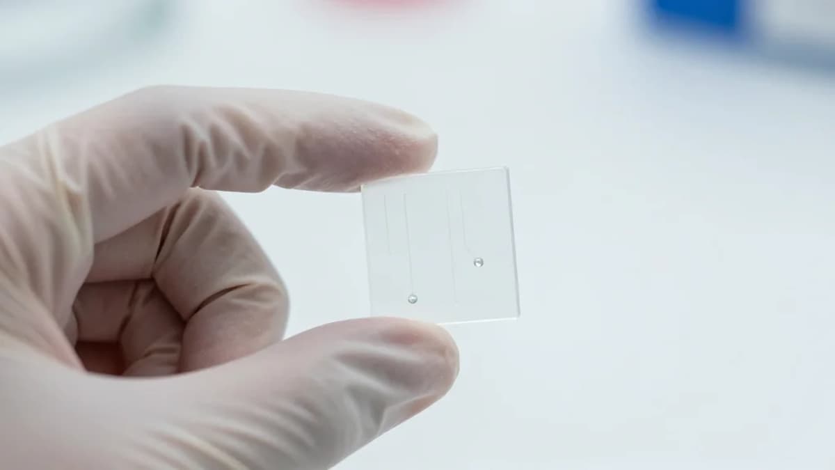 Bacterial Armory: Engineering Dual Photosensitized Bacteria for a Triple‐Modal Therapy on Tumors