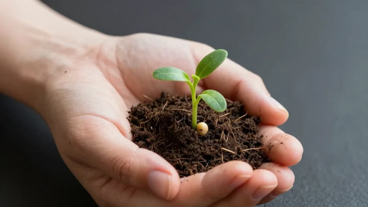 Intentional Culture Shapes Future Alumni Impact