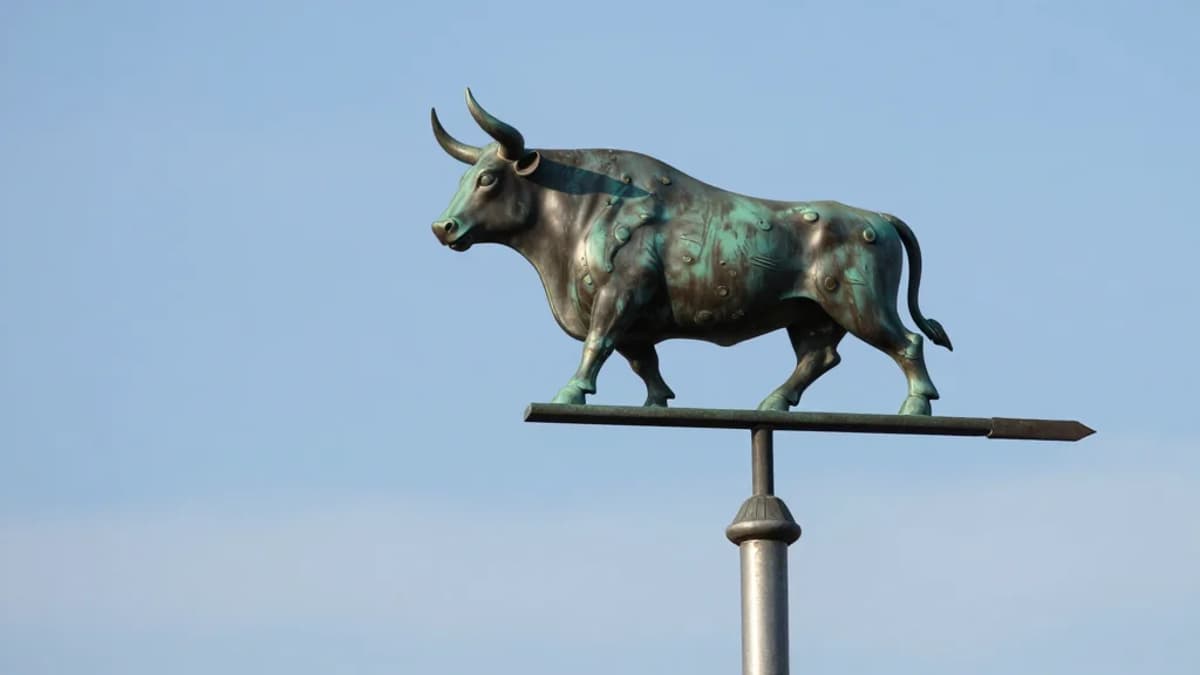 Fed Talks and Mega‑Cap Earnings Fuel Market Volatility