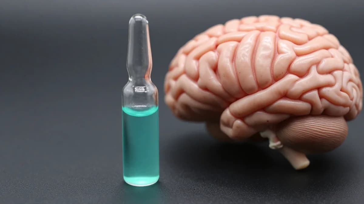 The Natural Human Protein Drug May Halt Neuron Death in Alzheimer's Disease