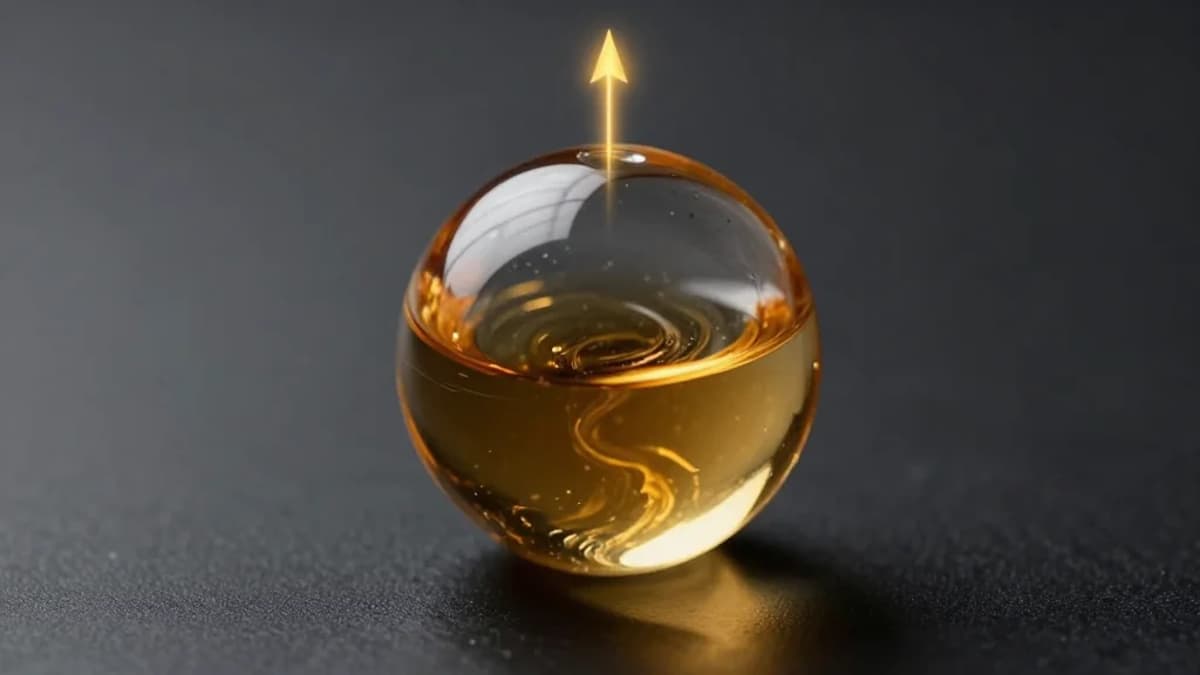 TKO Group Holdings Inc (TKO) Q4 2025 Earnings Call Transcript