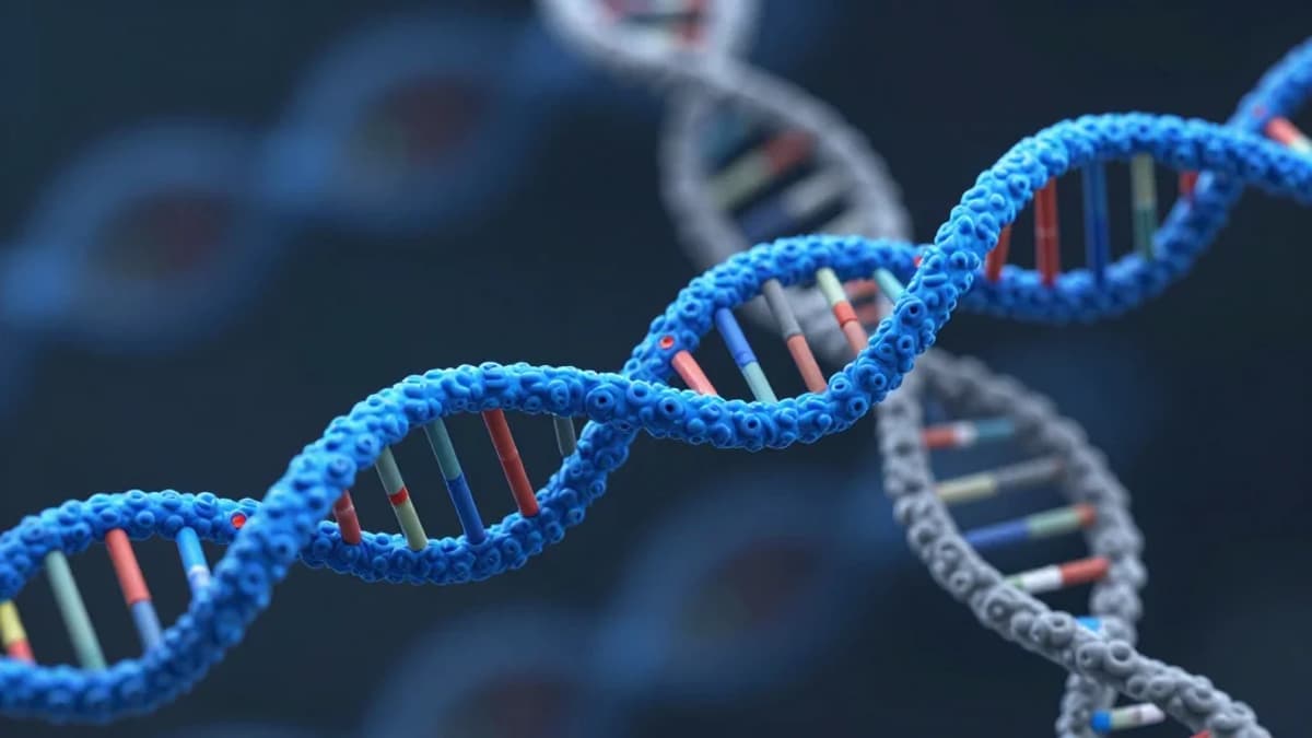 CRISPR/dCas9 Epigenome Editors Show Complex On‑off Target Relationship