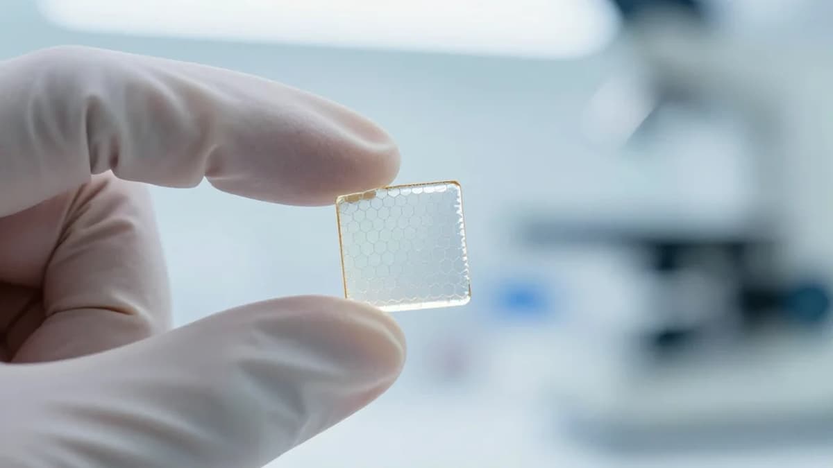 Liquid NaK‐Enabled Strategy for the Facile and Scalable Synthesis of Porous Fe/Co/Ni‐Based Materials for Magnetically Enhanced OER Catalysis