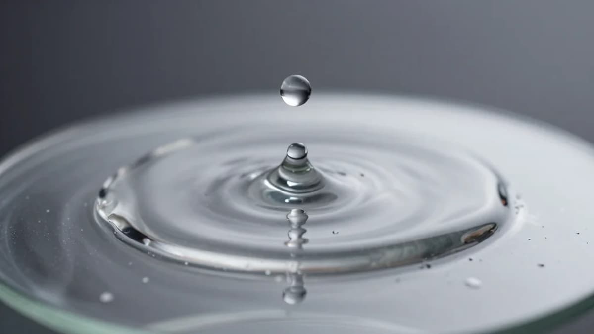 Self‐Adaptive Absorption‐Superspreading Coating for Environment Endurable and Long‐Lasting Antifogging Applications