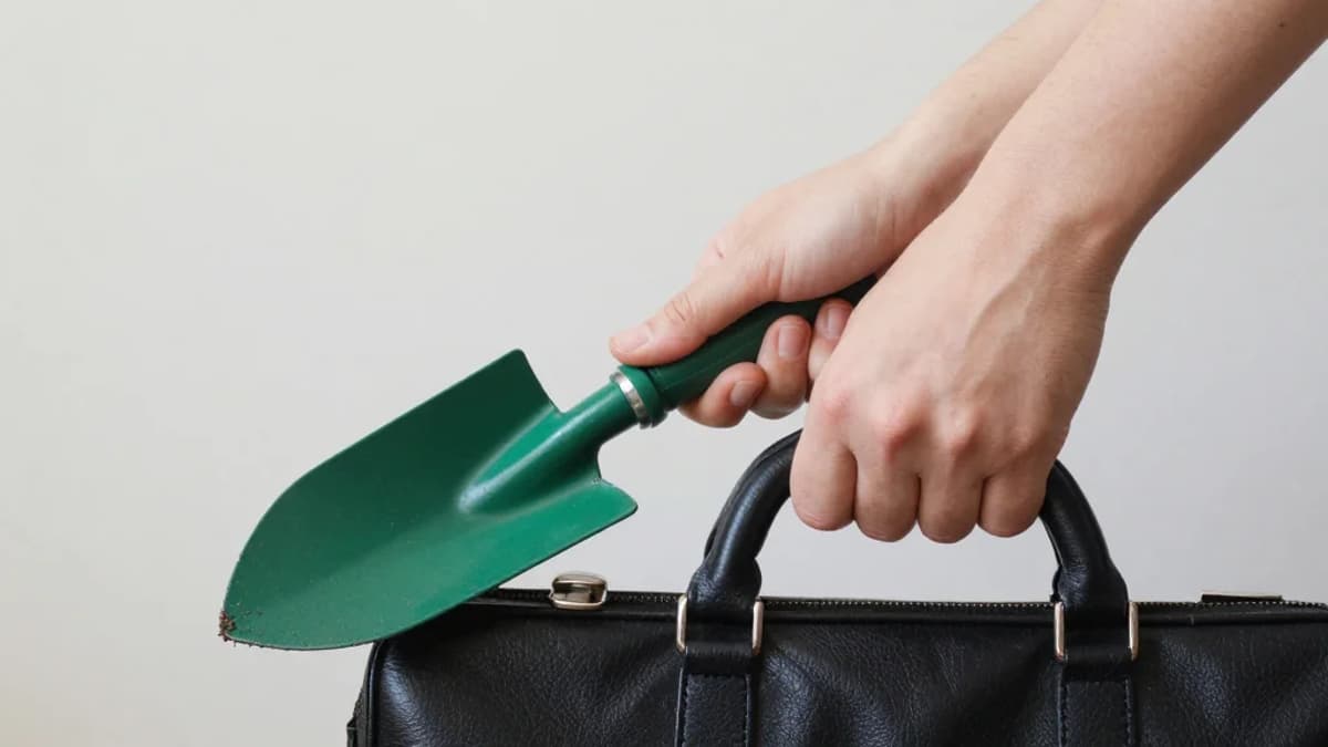 Choose Impact Over Title: Management Isn't Mandatory