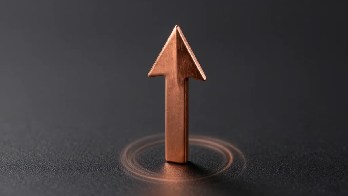 Iplicit Appoints VP Finance